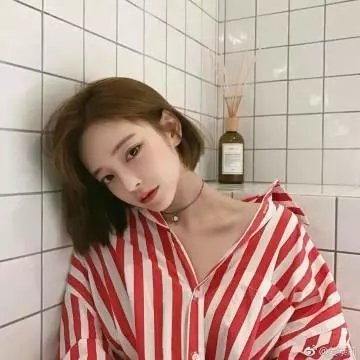 狐狸女士第二季