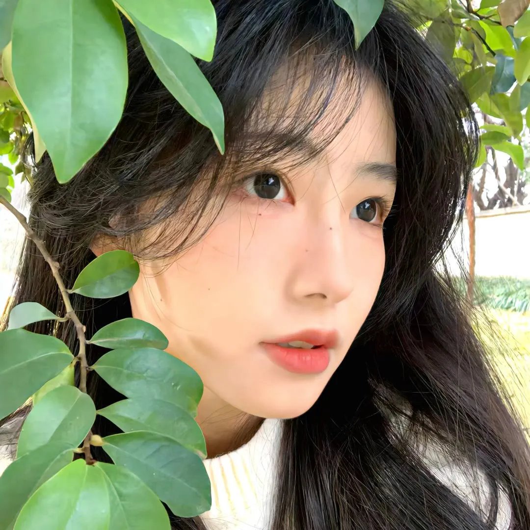 真相半白